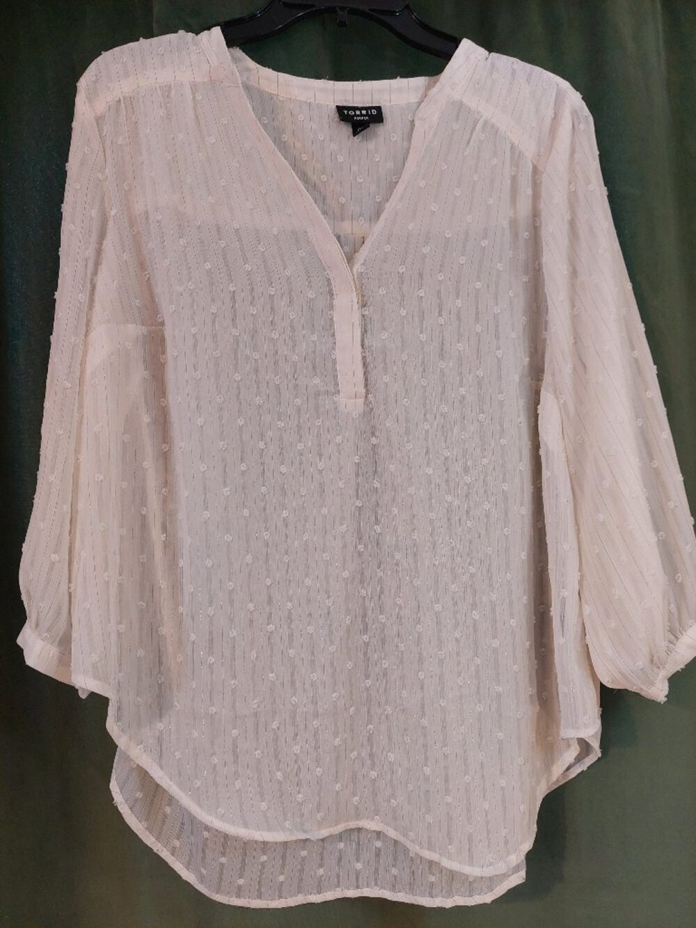 Torrid Sheer White Blouse